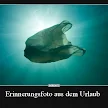 Urlaub Vorbei Lustige Sprüche