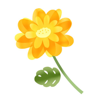 Hd限定菊 イラスト 無料 美しい花の画像