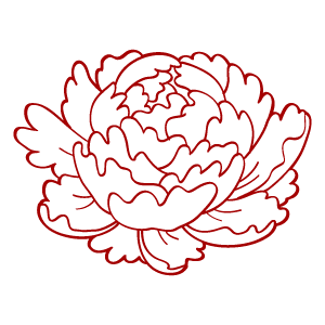 選択した画像 芍薬 イラスト 芍薬 イラスト 書き方 Buzzjpgazo