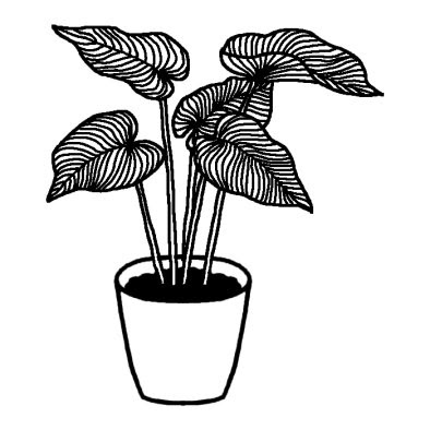 70以上 植物 イラスト 白黒 フリー 植物 イラスト 白黒 フリー