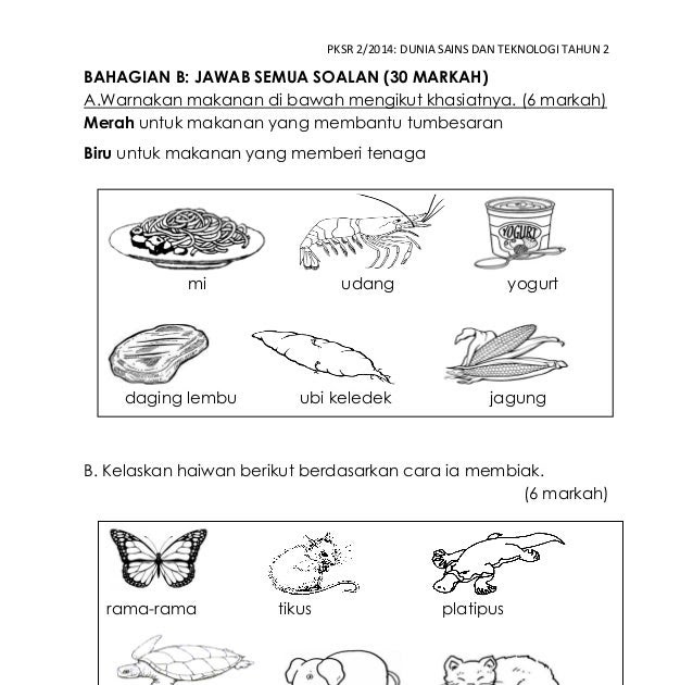 Soalan Sains Tahun 5 Format Baru - Selangor w