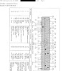 2005 Ford Focus Wiring Diagrams P 28443677