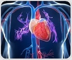 Decorated cardiac stem cells could provide enhanced treatment for heart attacks