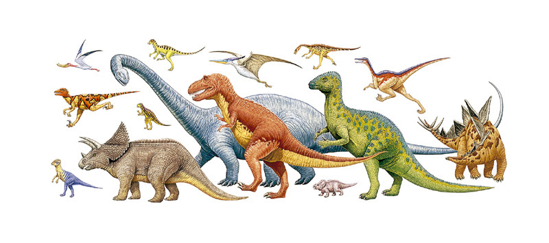 最高の動物画像 最新リアル 恐竜 イラスト フリー