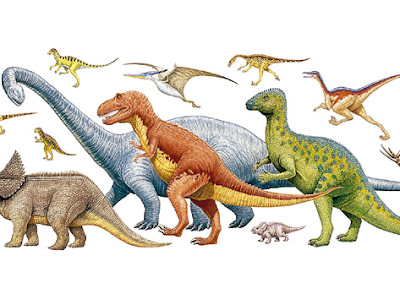リアル 恐竜 イラスト フリー の最高のコレクション 動物ゾーン