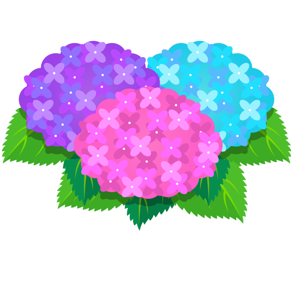 上アジサイ 6 月 イラスト 無料 最高のぬりえ