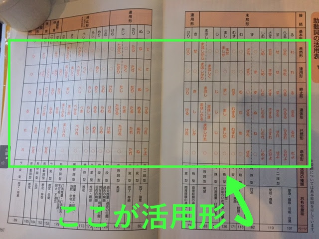 無料印刷可能 古文 助動詞 問題