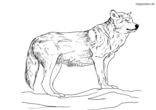 Ausmalbilder Tiere Fuchs