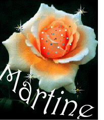 Picture Anniversaire Martine Marlin