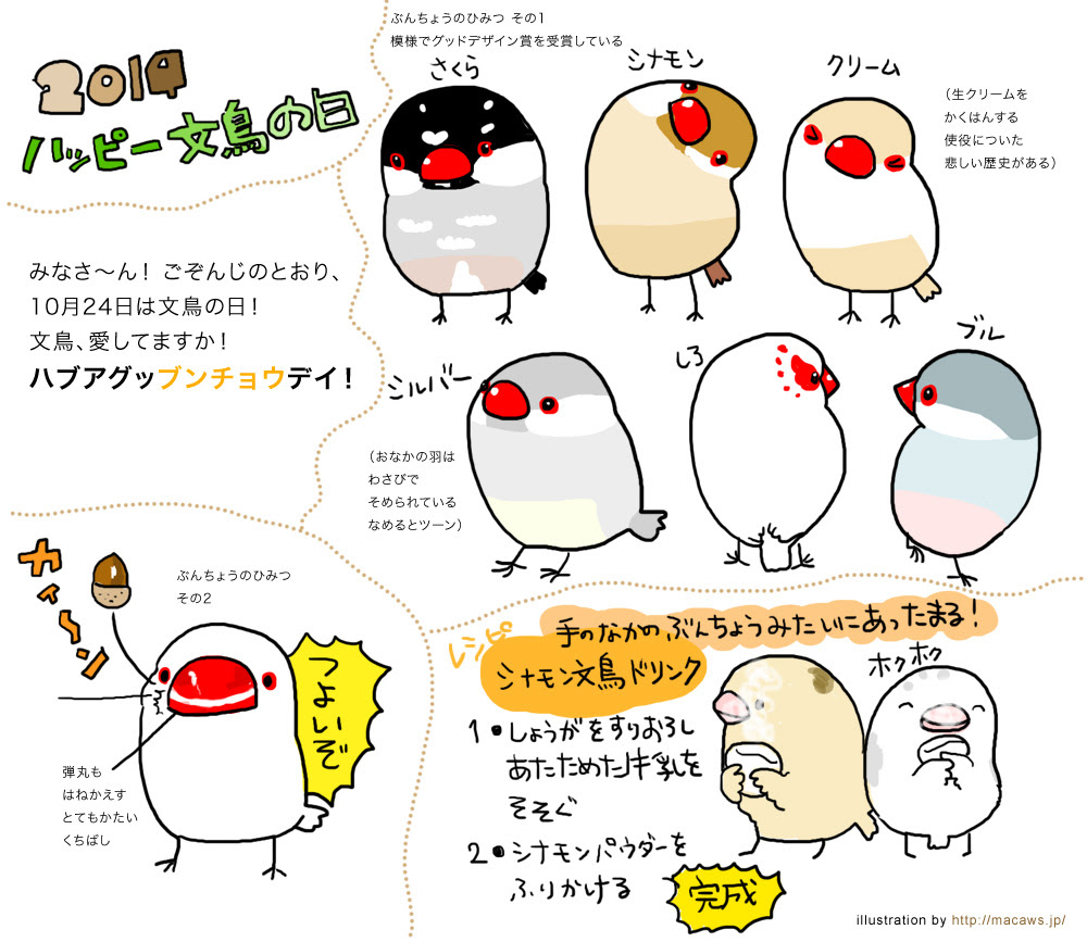 75 文鳥 イラスト 描き方 かわいい動物画像
