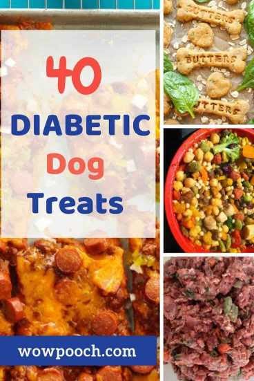 Home Cooked Recipes For Dogs With Diabetes - Diy Homemade Dog Food Damn Delicious : What is the ...