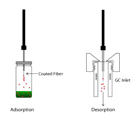 First commercial spme device (supelco) fibre spme can be performed in three basic modes: Team Valencia Upv Project Modules Methodology Sample Preparation 2014 Igem Org
