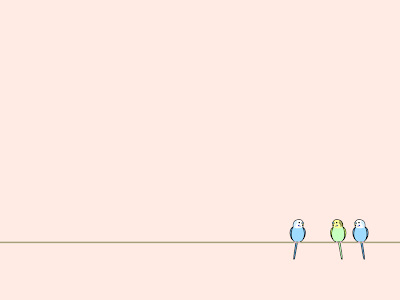 動物画像無料 かわいい インコ イラスト 壁紙