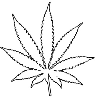 Pot leaf coloring pages clipartsco template. Clipart Panda Free Clipart Images