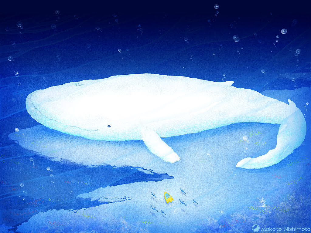75 クジラ 壁紙 最高の花の画像