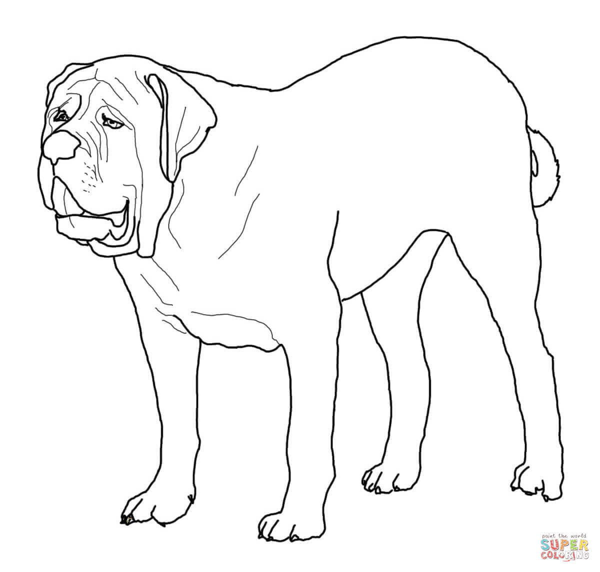 Choose your favorite springer spaniel paintings from millions of available designs. English Mastiff Coloring Page Free Printable Coloring Pages