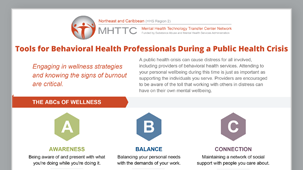 Provider Wellbeing During a Public Health Crisis webinar screenshot