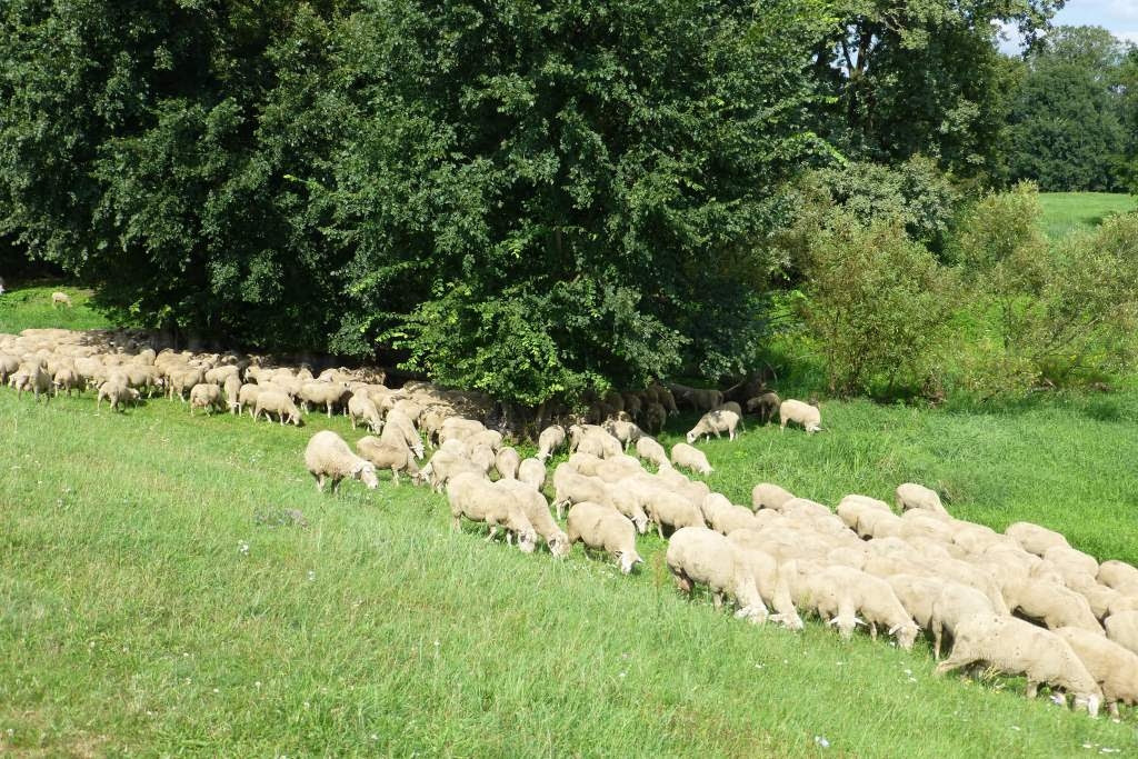 Bundeswasserstraßen Brandenburg Karte - Beetzsee ...