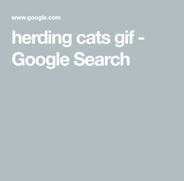 Herding Cats Gif Cowboys - Cats Family