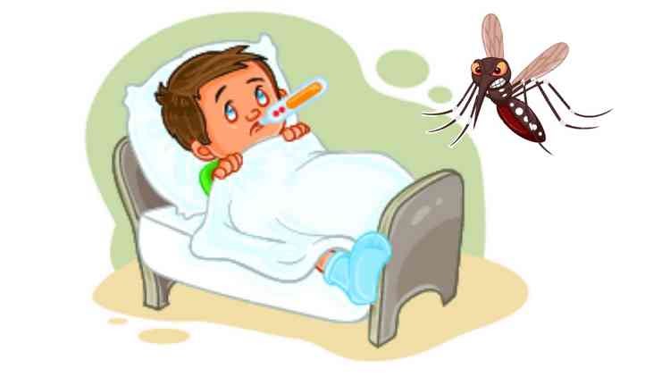 35 Terbaik Untuk Animasi  Demam  Berdarah Dengue Amanda T 