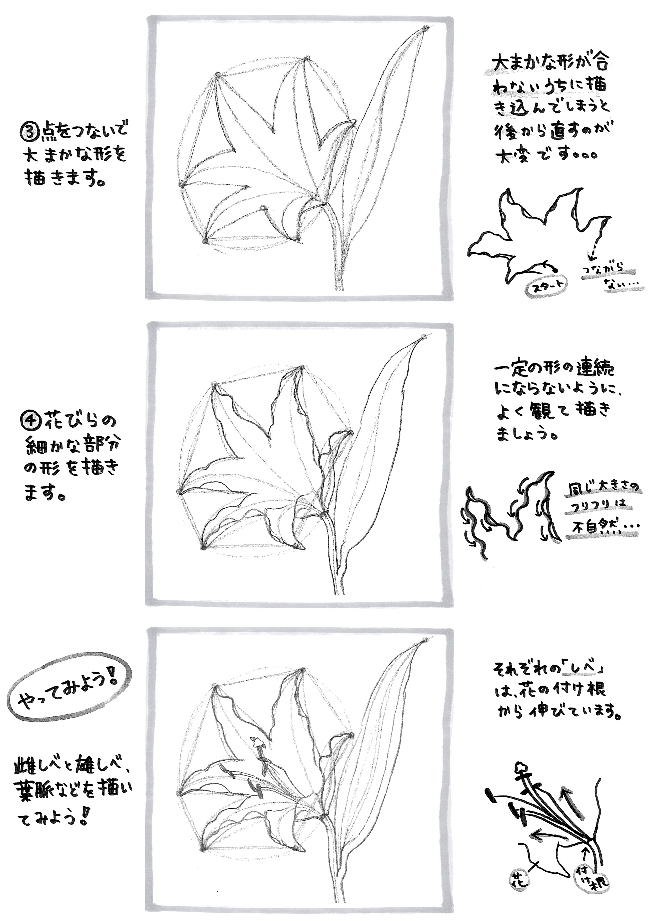 絵手紙 百合 の 花 イラスト 描き 方 2695