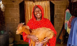 Zara Bulama lleva una de las cabras que recibió de la FAO en Gongulong, Maiduguri, Nigeria, en junio de 2021.