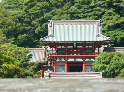 最高の動物画像 鎌倉 鶴岡八幡宮 イラスト
