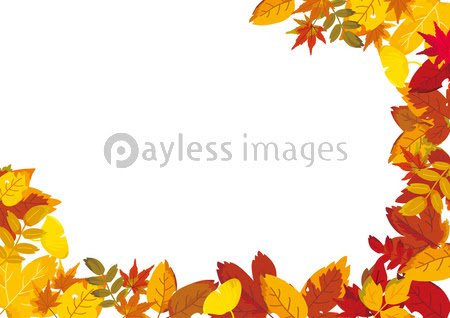 綺麗なイラスト 落ち葉 美しい花の画像