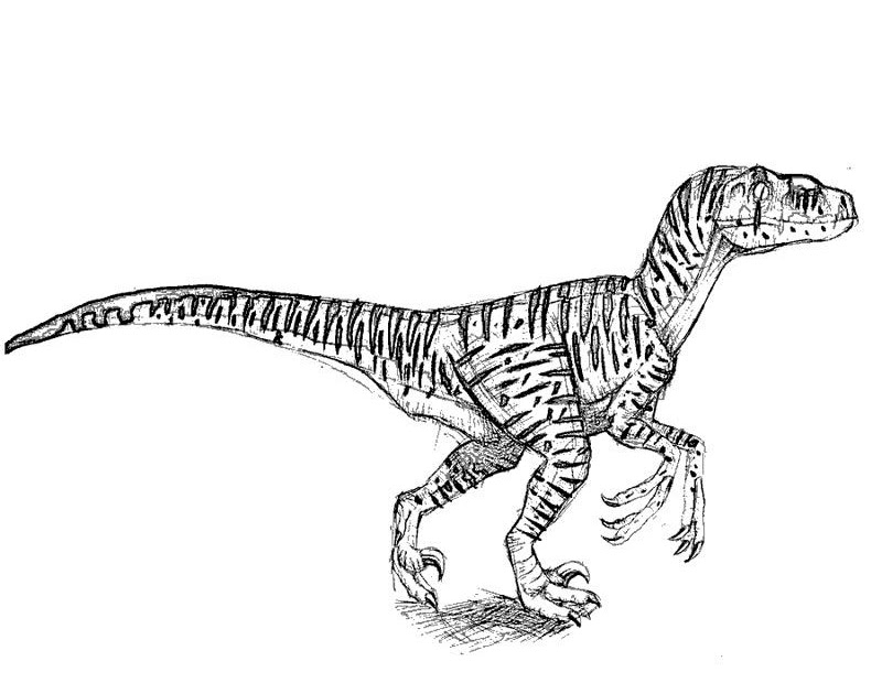 Indoraptor Coloring Pages - Discover Free Coloring Pages For Kids to