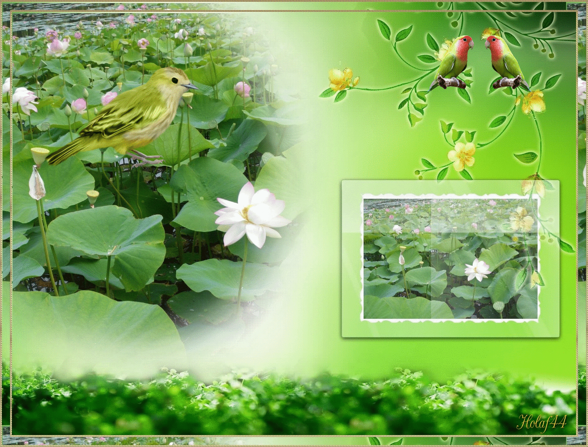 Poeme Anniversaire Oiseau Jaimee
