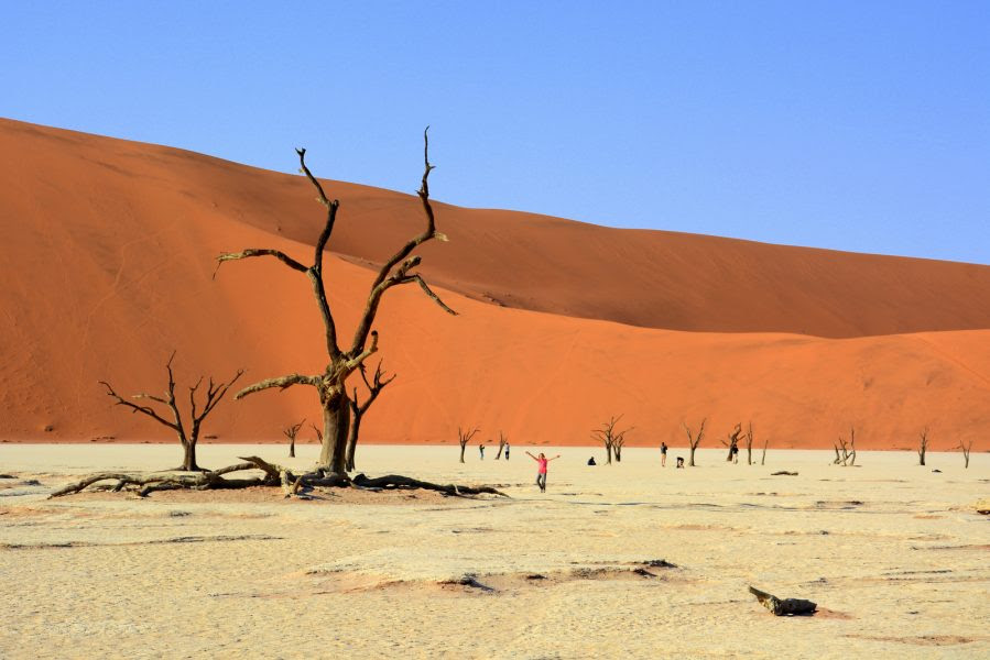 Some deserts are growing because the soil near it is losing water and nutrients, so the plants are dying, and can no longer hold the soil, so desert. Where Desert Meets Ocean Namib Naukluft Np The Beauty We Live