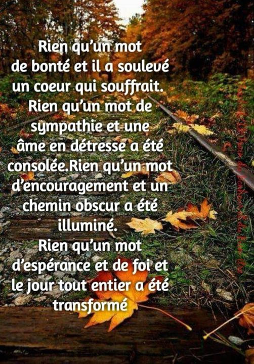 Image De Citation Citation Amitie Transforme En Amour