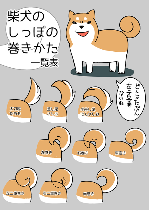 動物の壁紙 75 柴犬 イラスト ゆるい
