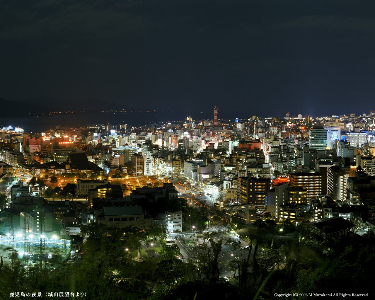 ぜいたく高 画質 夜景 壁紙 最高の花の画像