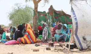 Refugiados sudaneses que huyeron del conflicto en Sudán alojados en refugios improvisados en Koufron, Chad.