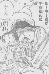 ワンピース メラメラの実 ネタバレ