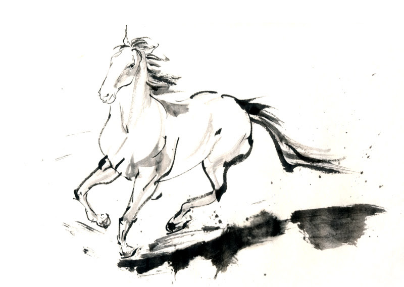 50 馬 イラスト かっこいい 書き方 動物ゾーン