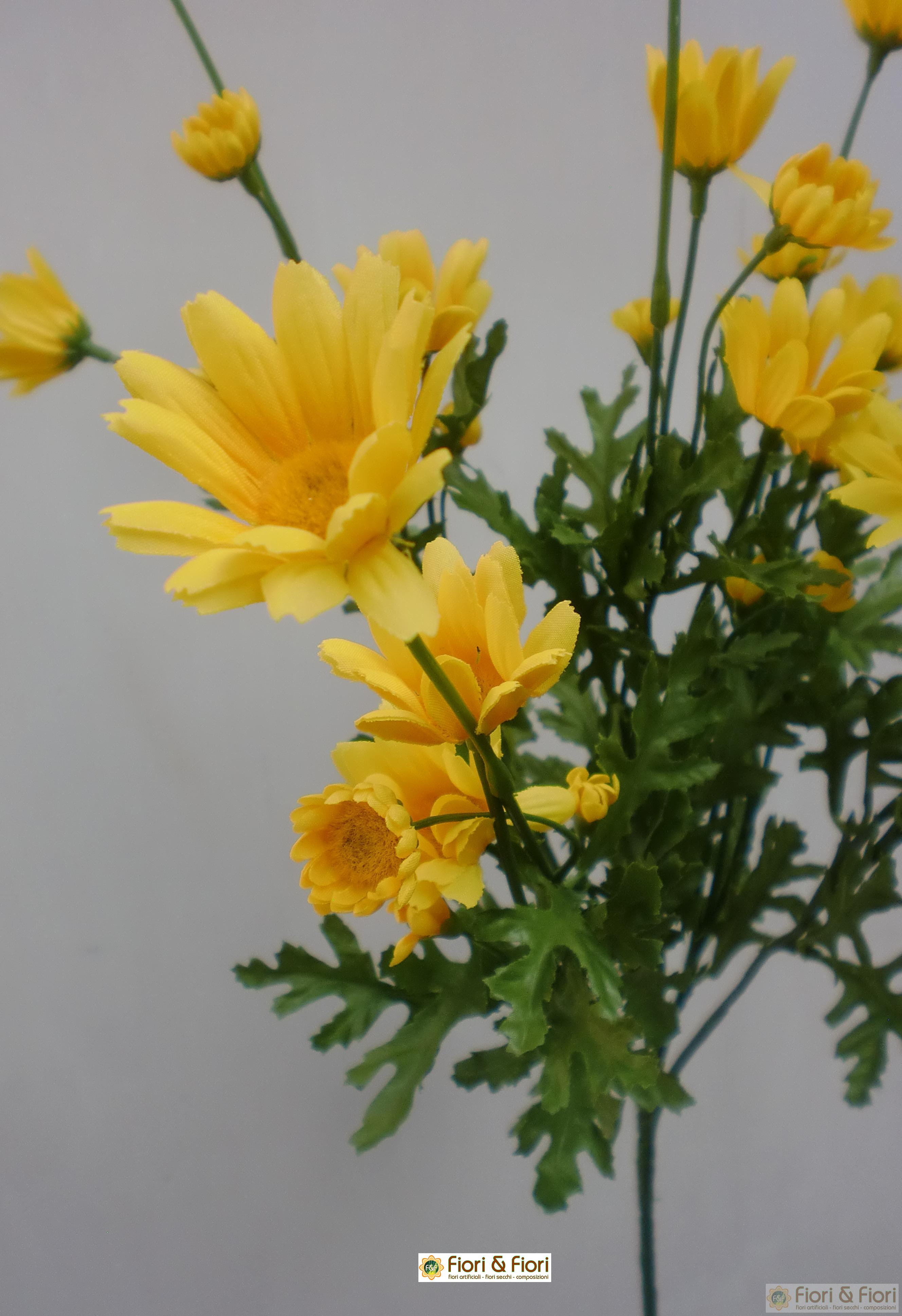 Fiori Tipo Margherite / Il Fiore Del Tipo Di Margherita ...