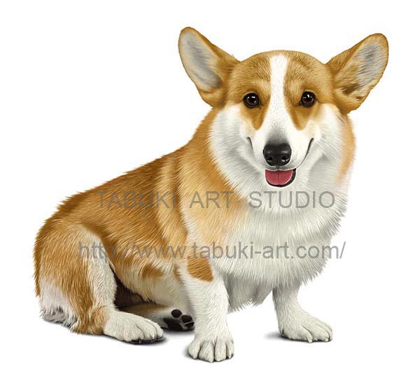 かわいい動物画像 最新のhd犬 イラスト リアル
