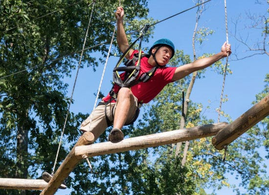 Treetop Adventure