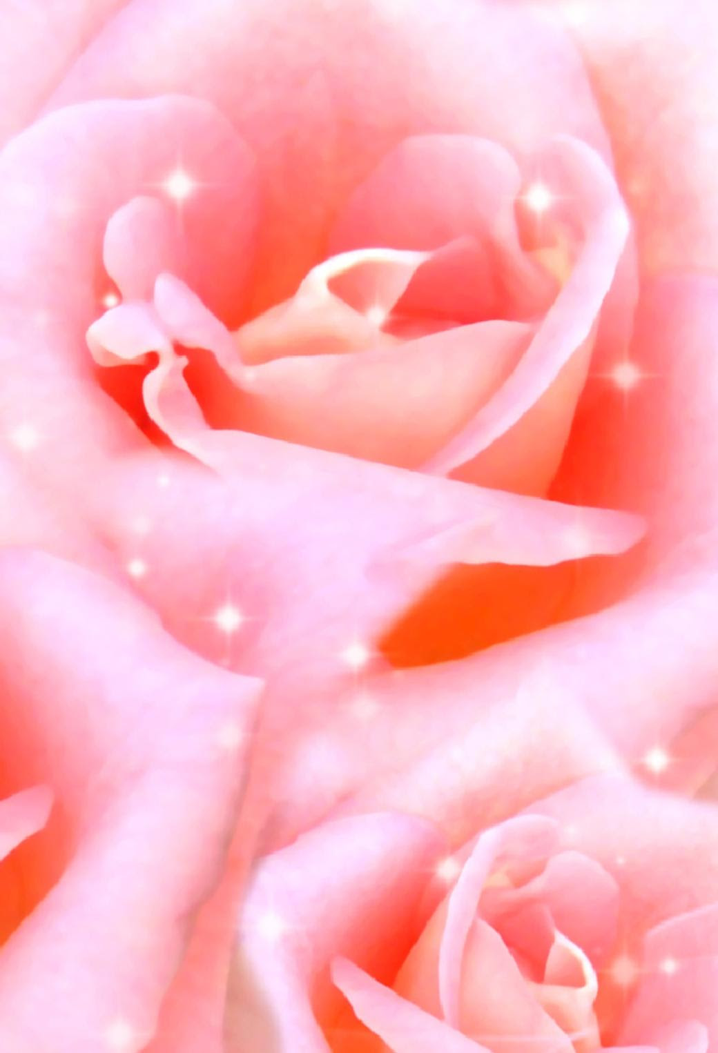 ディズニー画像ランド 最高かつ最も包括的なキラキラ 薔薇 ピンク 壁紙