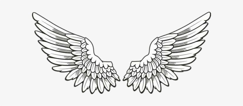 Wefalling Sketch Easy Angel Wings  Drawing 