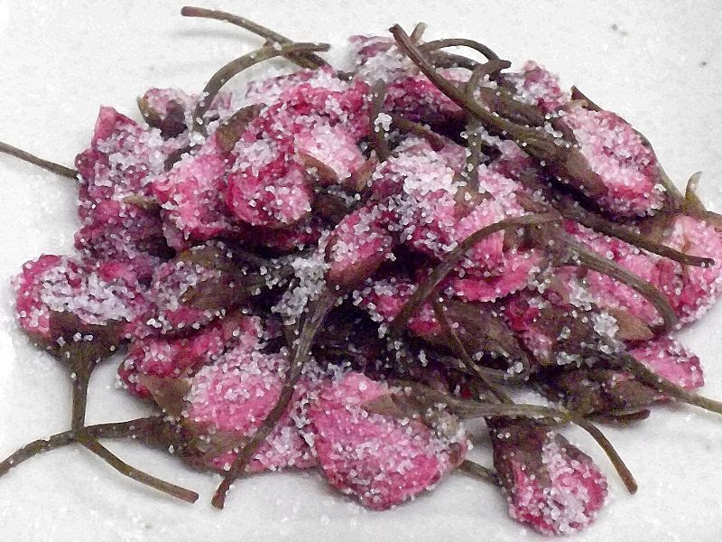 美しい花の画像 無料印刷可能桜の 花 レシピ
