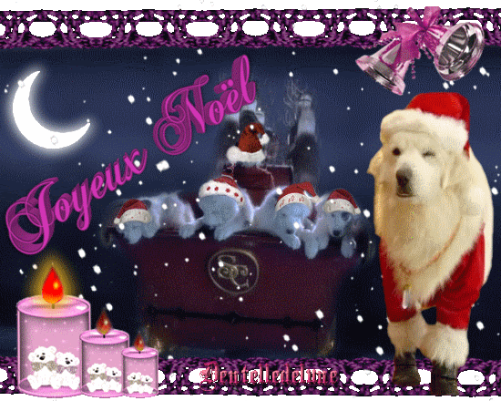 25 Charmant Joyeux Noel Image Animee