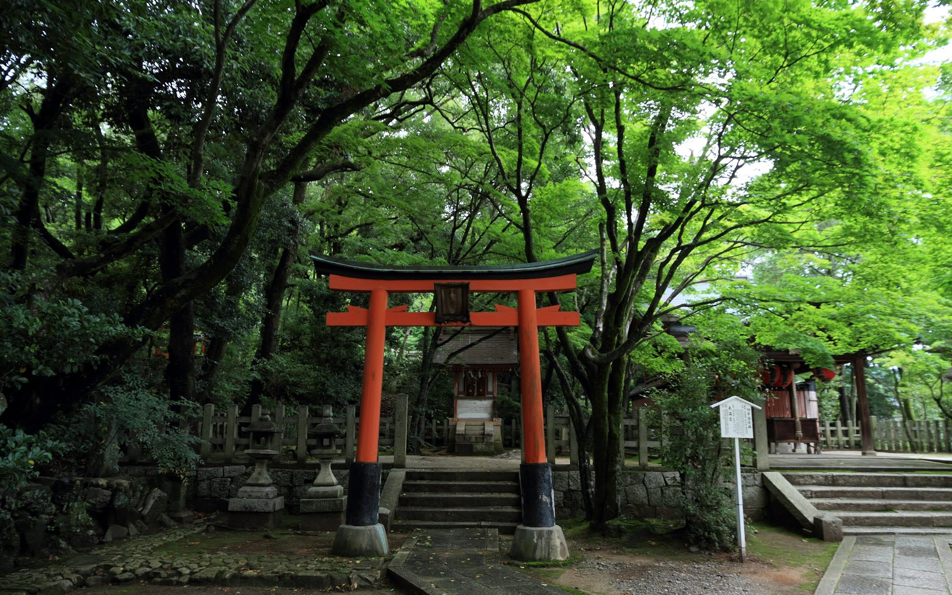 ダウンロード可能 壁紙 神社