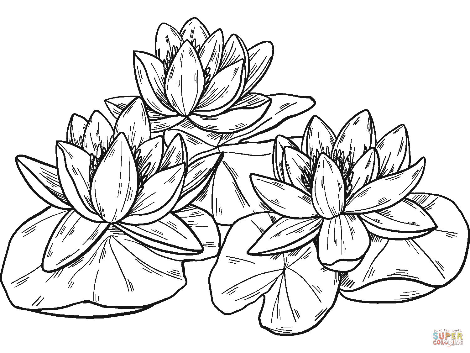 Catholic school info for catechists, teachers, and parents. Water Lilies Coloring Page Free Printable Coloring Pages
