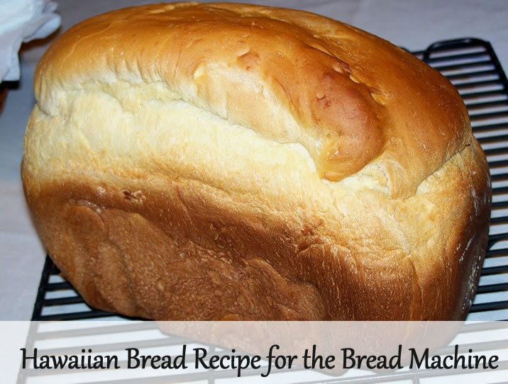 Oster bread maker paddle blade for models: Hawaiian Bread Recipe Bread Machine Recipes