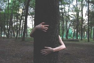 tree_hug_400x268.jpg