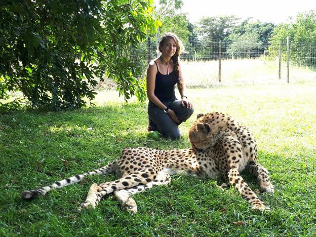 Damaris en la reserva de Sudáfrica donde trabaja con guepardos. :: hoy/