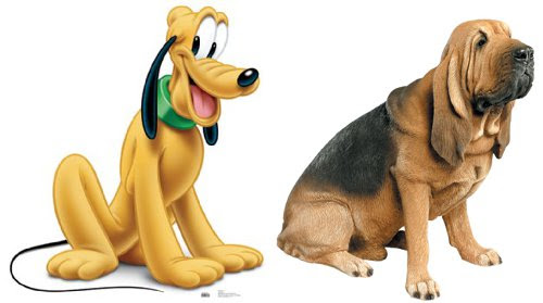 これまでで最高のディズニー 犬 キャラクター 一覧 ディズニー画像